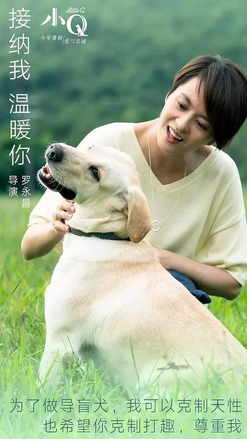 伊利诺伊大学成绩单修改